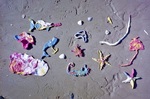 2014-04-16_28.jpg