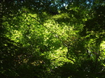 DSC01766.JPG