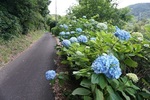DSC08811-2.jpg