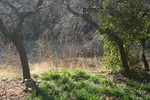 DSC09631.jpg